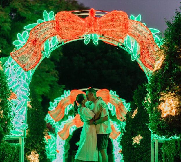Christmas Lights Spectacular at Hunter Valley Gardens