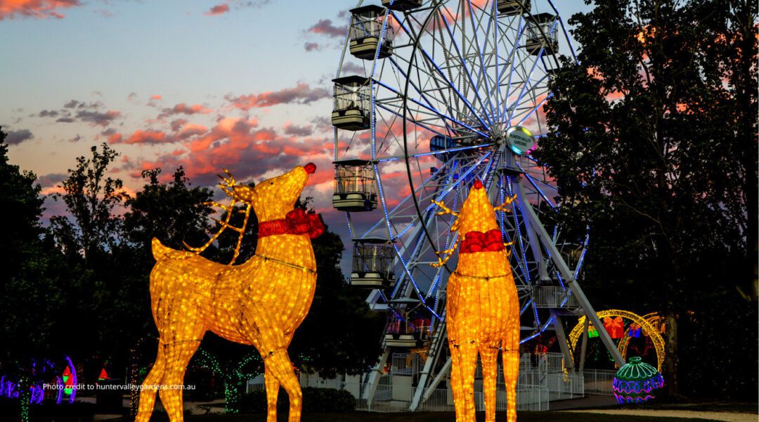 Hunter Valley Christmas Lights